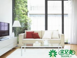 一、 绿色家具形制对风水的影响