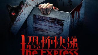 文献综述与理论框架