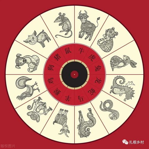 2024年龙年五行属什么是哪一种五行属性？