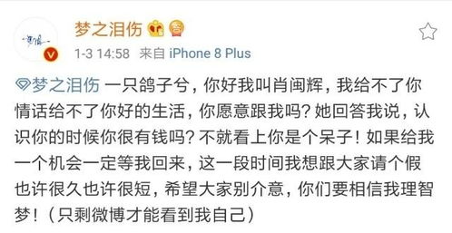 三、  情感格局的混乱：桃花泛滥与“烂桃花”的风水隐喻