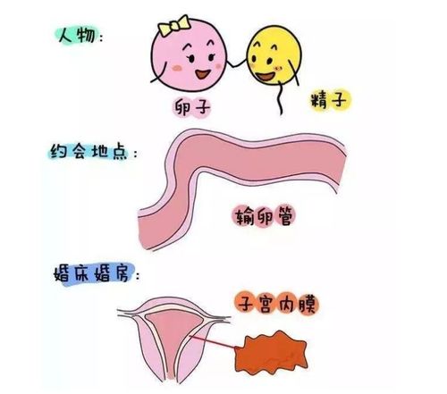 较小知识时间段：