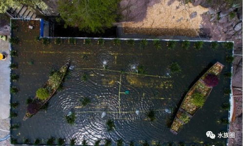 屋顶养鱼会影响住宅风水吗？这是否会带来不利影响？