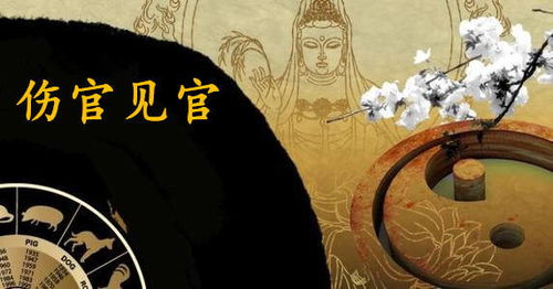八字如何判断伤官见官？伤官逢官的迷信问题能否解决？