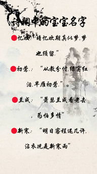 四、运用诗词典故起名