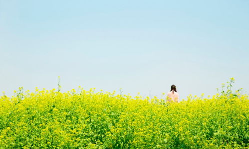 除了这些还有什么好玩的吗？当然有！