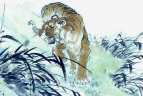 生肖虎