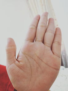 算命时是否需要将八字与手相相结合进行分析？