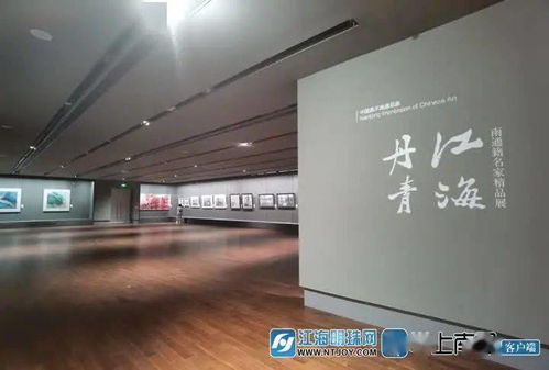 展览时间段线：从40元特展到150元“顶流”，票价涨了但值吗？