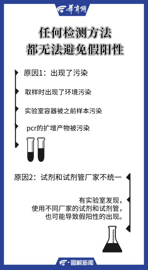 科学实验因素对鸡蛋状态的影响机制分析