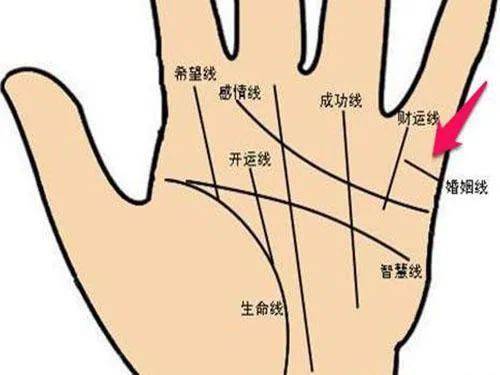 背部绿色胎记图案女士手相，圆形纹路在手相中具体代表什么含义？