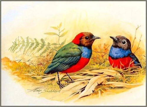 正大光明的生肖是什么？鸟代表哪个动物，它与哪个生肖相联系？