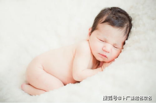 8. 宸