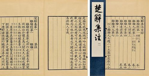 男孩