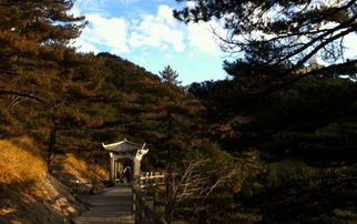 案例3：徽杭古道——“免费徒步”的骗局：你的脚踝比门票市场价格较高