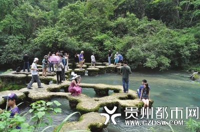 市场价格较高州本地人65元特价？天方夜谭吧