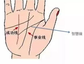 男性群体手相特征与面相解析