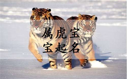 A. 姓氏推荐：