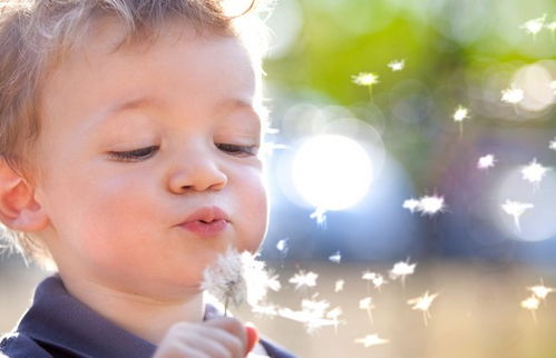 二、成语取名的方法与技巧