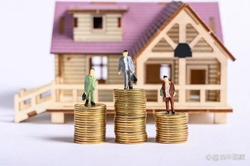 公共账户：政府责任与多元筹资路径