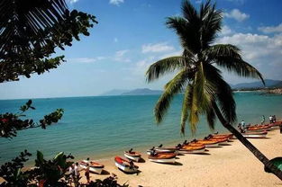 住宿推荐：钱包准备好了吗？