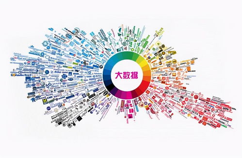 3. 内部管理混乱且员工素质参差——毛发粗硬式分裂