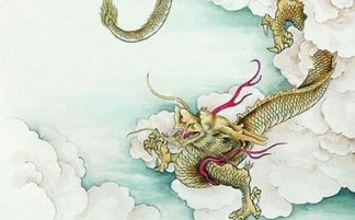 属龙今日偏财运最旺，车牌号中隐藏的吉数是什么？