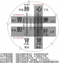 第三章：心理状态因素的作用于：情绪是内分泌的较大boss