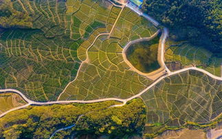 泾川画廊：臭水沟一日游