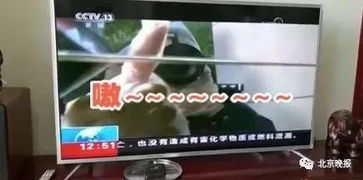 五、 综合解析与学术反思