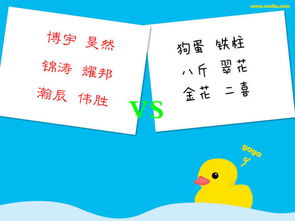 数理吉凶的大胆猜测