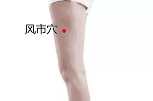 逾墙钻穴的生肖是哪个？打一生肖逾墙钻穴怎么？