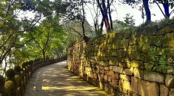 合川：钓鱼城与桃片的甜蜜负担