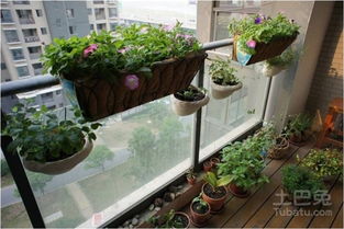 二、 风水理论支撑：“阳台四花”为何不利于致富？