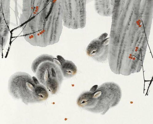 75年属兔男性如何提升桃花运，最强招财转运物品是什么？