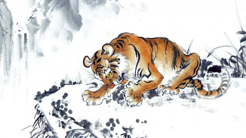 B．属虎（Tiger）：果断落实者与冒险先驱者