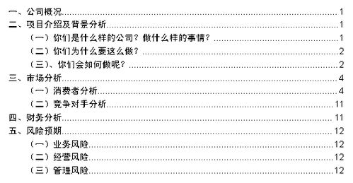 二、商业活动计划书的本质与误区：一场在逻辑与现实之间的博弈