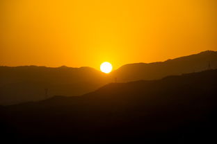 日落西山对应的生肖是哪个？有没有人嫩告诉我？