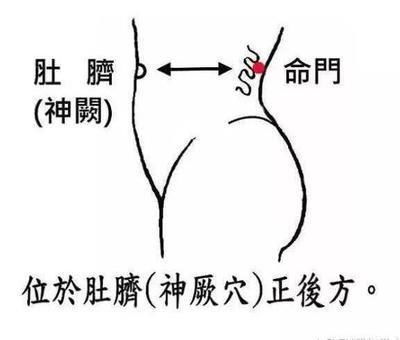 二、 现代医学角度下的长寿指标