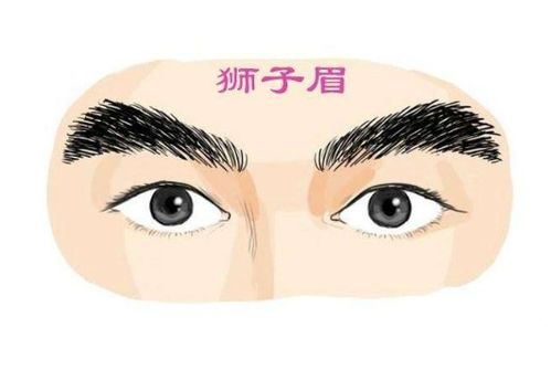 一、 眉毛过目且印堂低陷：患得患失与缺乏专注