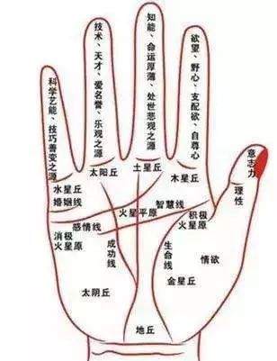 案例剖析：女性群体右手感情线上断裂所示情感保守特征