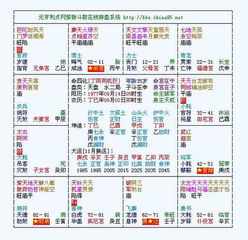 地支排布型年系星