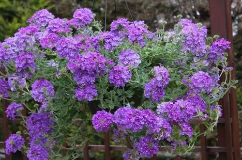 ：方位与五行在风水学中的重要性