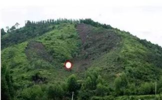 二、马蜂为啥偏爱坟地？七大奇葩理由