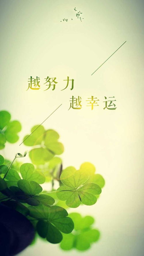 2.1 心理状态韧性与机遇识别的内在机制