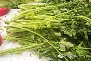 老祖宗说芹菜能通灵？笑死个人！