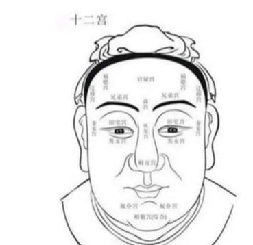 官禄宮：事业发展与社会地位