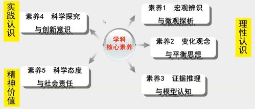 生肖兔：温婉细腻的艺术感知者