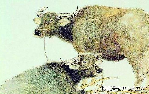 偏三向四的生肖是什么？偶向城南打一生肖指的是什么生肖？