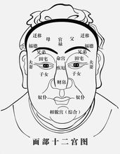 1. 认知能力与智慧禀赋：思维活跃却简单陷过度思考的双沉重性