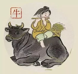 1972年出生属鼠的女性，她的生肖贵人是谁？